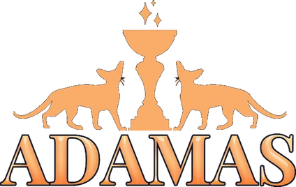 Adamas — British cat cattery